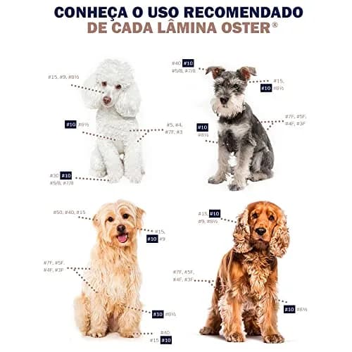 Oster Professional Size 10 Cryogen-X Detachable Blade for Dogs | 1.5mm (1/16") Cut thumbnail 2