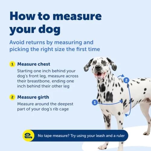PetSafe Easy Walk Harness, No Pull Dog Harness, Black, Medium/Large | Lightweight, Breathable & Durable thumbnail 6
