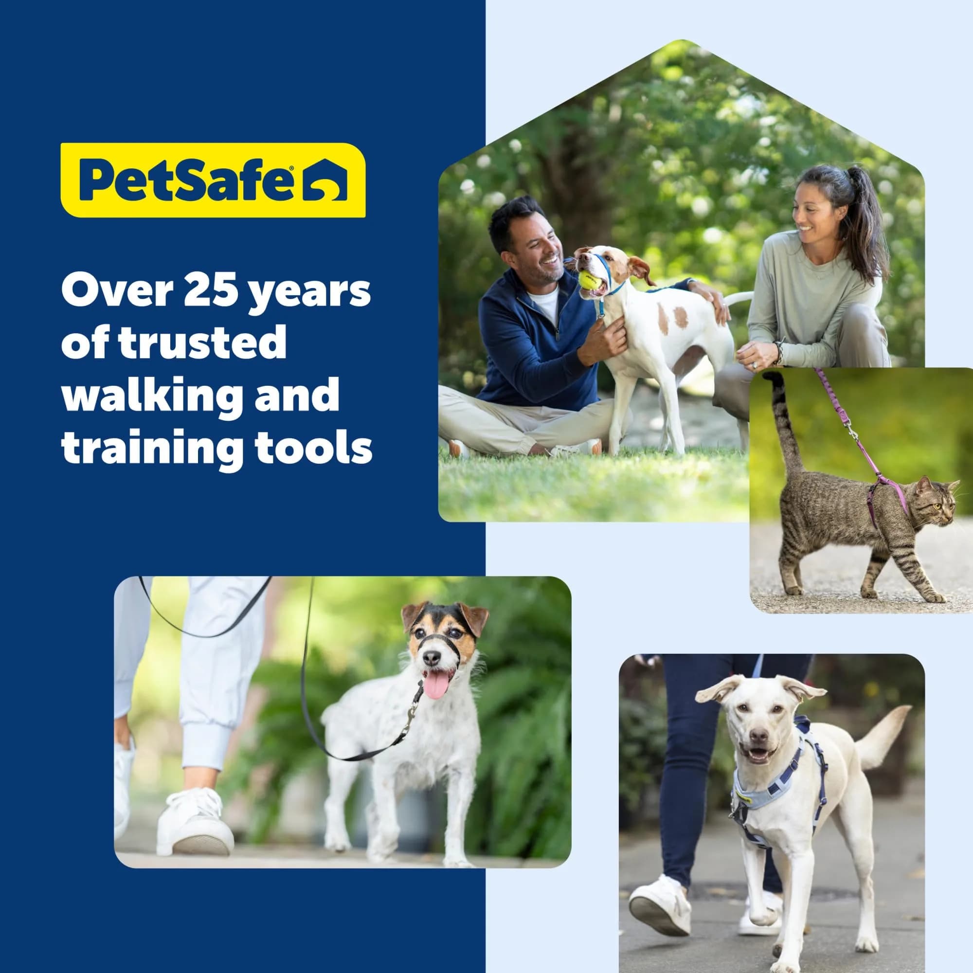 PetSafe Easy Walk Harness, No Pull Dog Harness, Black, Medium/Large | Lightweight, Breathable & Durable - view 9