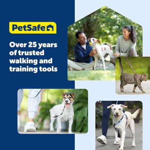 PetSafe Easy Walk Harness, No Pull Dog Harness, Black, Medium/Large | Lightweight, Breathable & Durable thumbnail 9