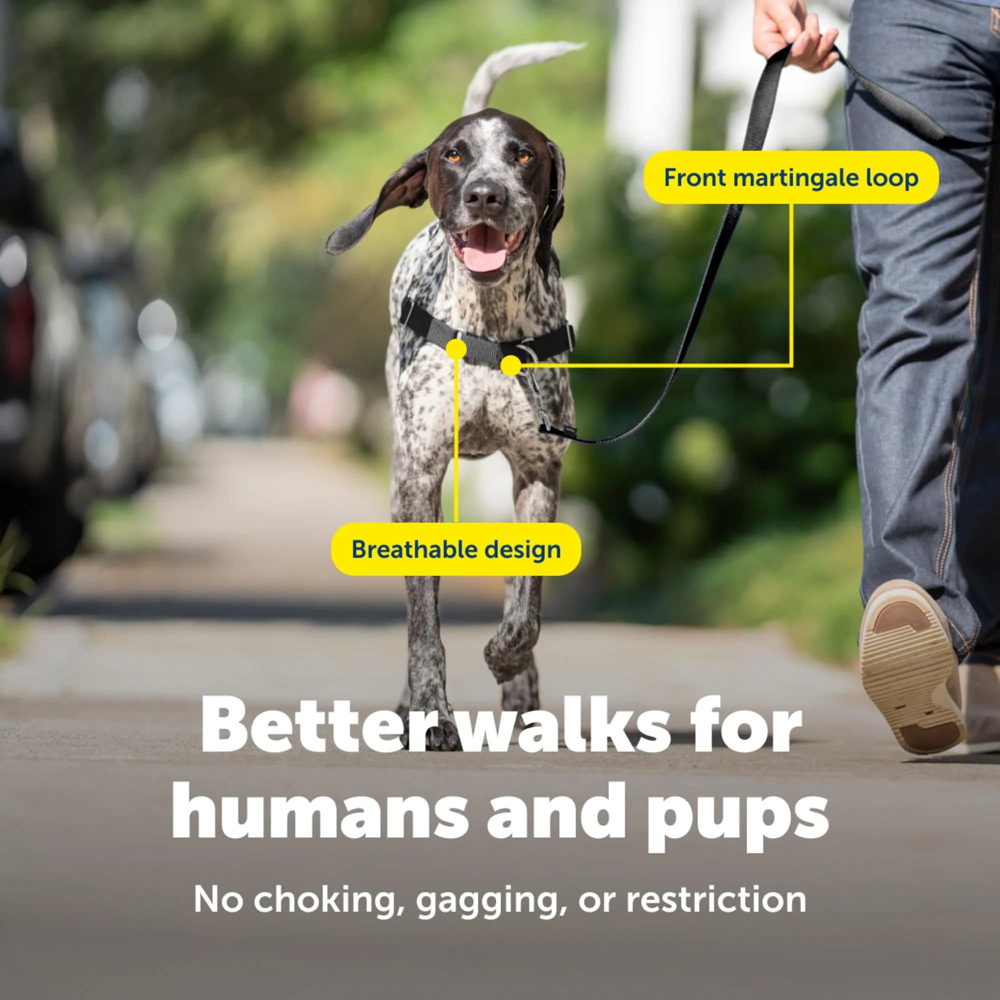 PetSafe Easy Walk Harness, No Pull Dog Harness, Black, Medium/Large | Lightweight, Breathable & Durable - view 4