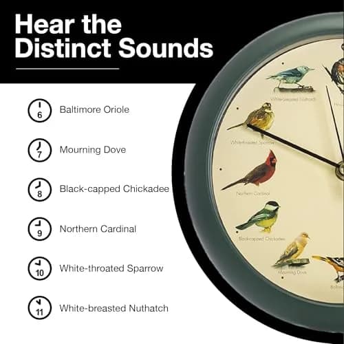 Mark Feldstein & Associates Green Singing Bird Clock 8 inch (20.3 cm) | 12 Real Bird Songs Hourly, Silent After Dark thumbnail 6
