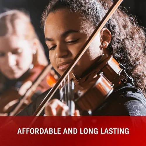 D'Addario Prelude Cello String Set 4/4 Scale Medium Tension | Educator's Choice for Student Strings thumbnail 4