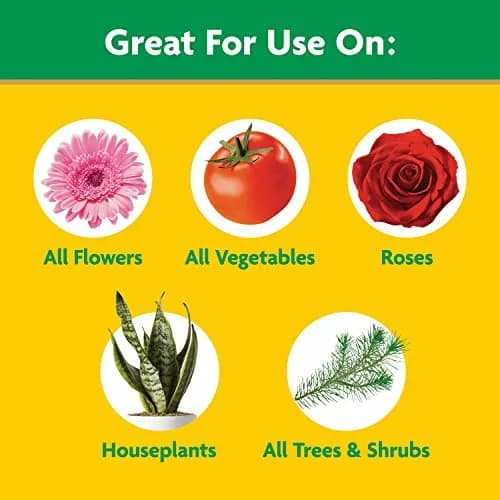 Miracle-Gro Water Soluble All Purpose Plant Food 255g (8 oz) | Feeds Plants Instantly for Bigger Growth thumbnail 4