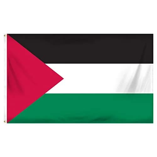 Islamic Gifts Palestine Polyester Flag 3' x 5' | Durable Double-Sewn Edges for Indoor/Outdoor Use thumbnail 1