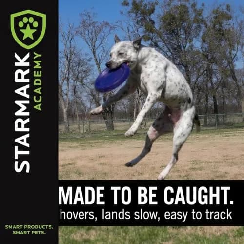 Starmark EasyGlide DuraFoam Flying Disc Dog Toy 9-inch | Soft, Durable & Floats in Water thumbnail 6