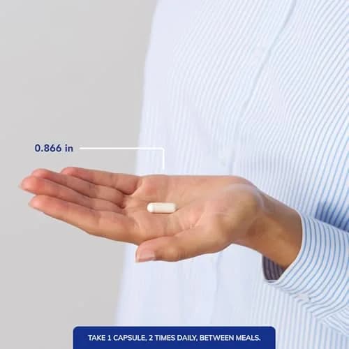 Pure Encapsulations L-Lysine 90 Capsules | Supports Immune & Gum Health thumbnail 4