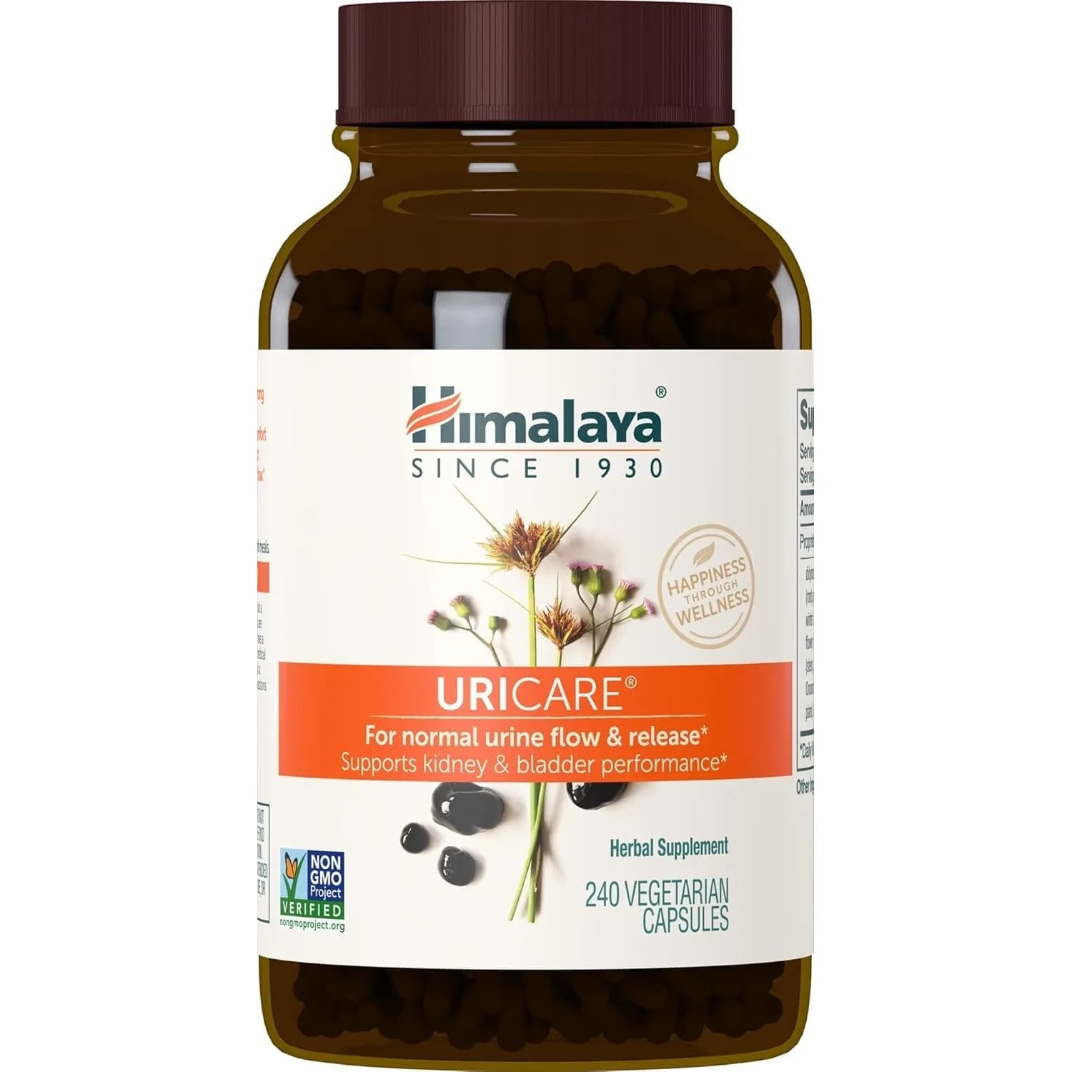 Himalaya UriCare Herbal Supplement 240 Capsules (60 Day Supply) | Kidney & Bladder Support - main product image