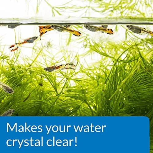 API ACCU-CLEAR Freshwater Aquarium Water Clarifier 237ml (8 Fl Oz) | Clears Cloudy Water Fast thumbnail 4