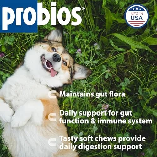 Probios Dog Probiotic Soft Chews, Chicken Liver | Supports Digestive & Immune Health thumbnail 2