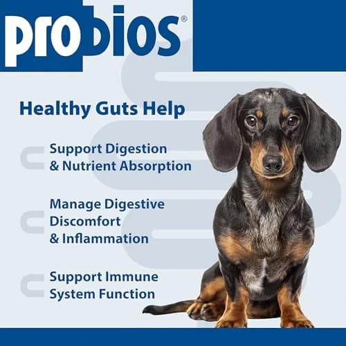 Probios Dog Probiotic Soft Chews, Chicken Liver | Supports Digestive & Immune Health thumbnail 3