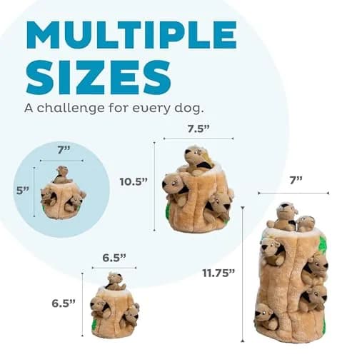Outward Hound Hide-A-Squirrel Plush Squeaky Dog Toy Small 5" x 7" | Interactive Puzzle Toy for Dogs & Puppies thumbnail 5
