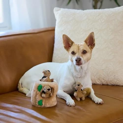 Outward Hound Hide-A-Squirrel Plush Squeaky Dog Toy Small 5" x 7" | Interactive Puzzle Toy for Dogs & Puppies thumbnail 6