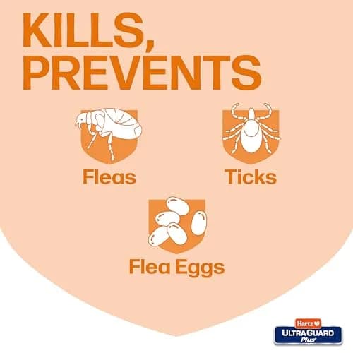 Hartz UltraGuard Plus Cat Flea & Tick Spray 237ml (8 Fl Oz) | Kills Fleas & Ticks on Contact thumbnail 2