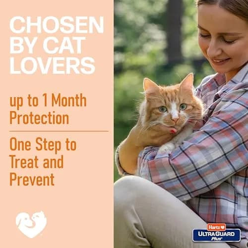 Hartz UltraGuard Plus Cat Flea & Tick Spray 237ml (8 Fl Oz) | Kills Fleas & Ticks on Contact thumbnail 4