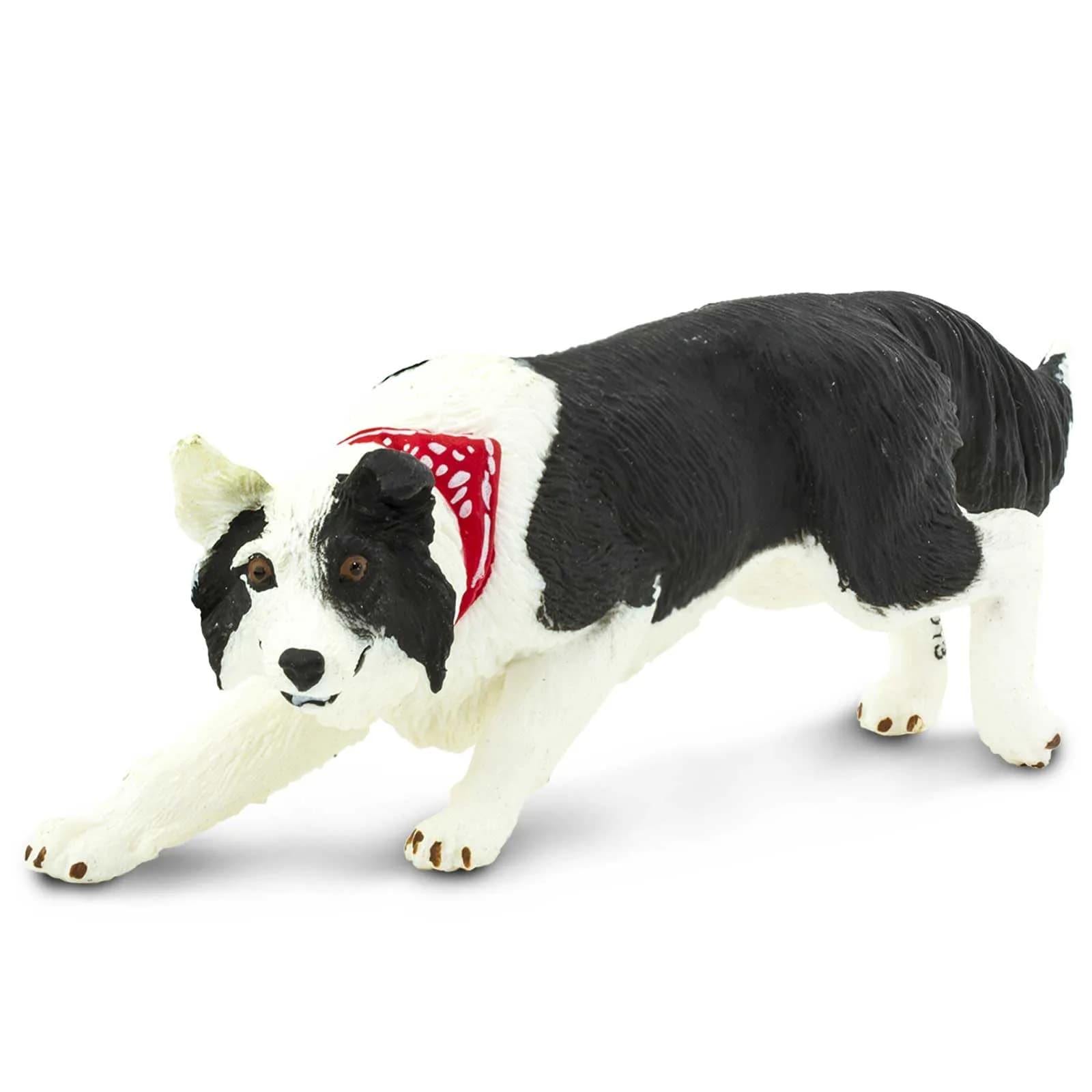 Safari Ltd. Border Collie Toy - 5 Inch Realistic Pet Figure for Kids | Hand-Painted, Safe, Educational - main product image