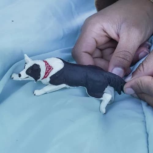 Safari Ltd. Border Collie Toy - 5 Inch Realistic Pet Figure for Kids | Hand-Painted, Safe, Educational thumbnail 7