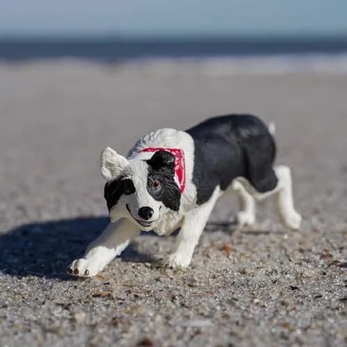 Safari Ltd. Border Collie Toy - 5 Inch Realistic Pet Figure for Kids | Hand-Painted, Safe, Educational thumbnail 2