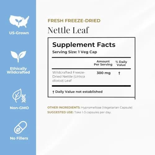 ECLECTIC INSTITUTE Nettle Leaf Capsules 90 CT | Sinus & Immune Support, Vegan, Non-GMO thumbnail 8