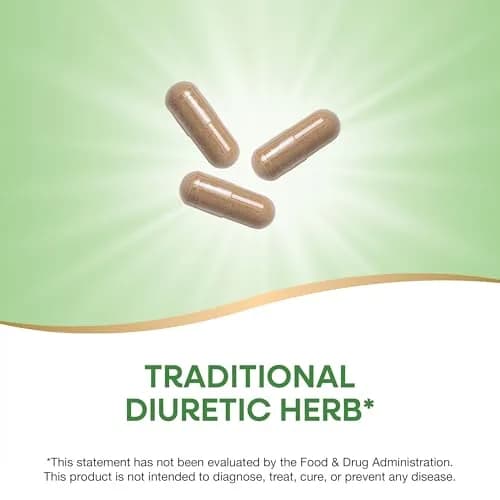 Nature's Way Dandelion Root Capsules 100 Count | Traditional Diuretic Herb, Vegan, Non-GMO thumbnail 2