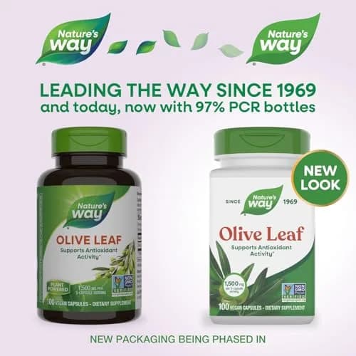 Nature's Way Olive Leaf Herbal Capsules 1500mg | Supports Antioxidant Activity, Vegan, Gluten-Free thumbnail 2