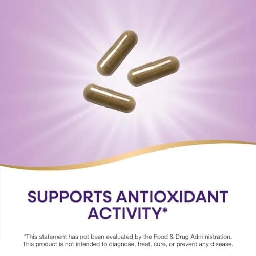 Nature's Way Olive Leaf Herbal Capsules 1500mg | Supports Antioxidant Activity, Vegan, Gluten-Free thumbnail 3