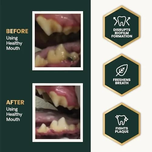 VetriScience Dental Care Powder for Dogs and Cats 4.2 Oz | No-Brush Oral Hygiene Support thumbnail 5