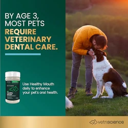 VetriScience Dental Care Powder for Dogs and Cats 4.2 Oz | No-Brush Oral Hygiene Support thumbnail 3