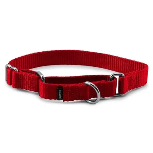 PetSafe Martingale Dog Collar, Red, 3/4 in, Small | Safe, Durable Nylon, Vet & Trainer Recommended thumbnail 1