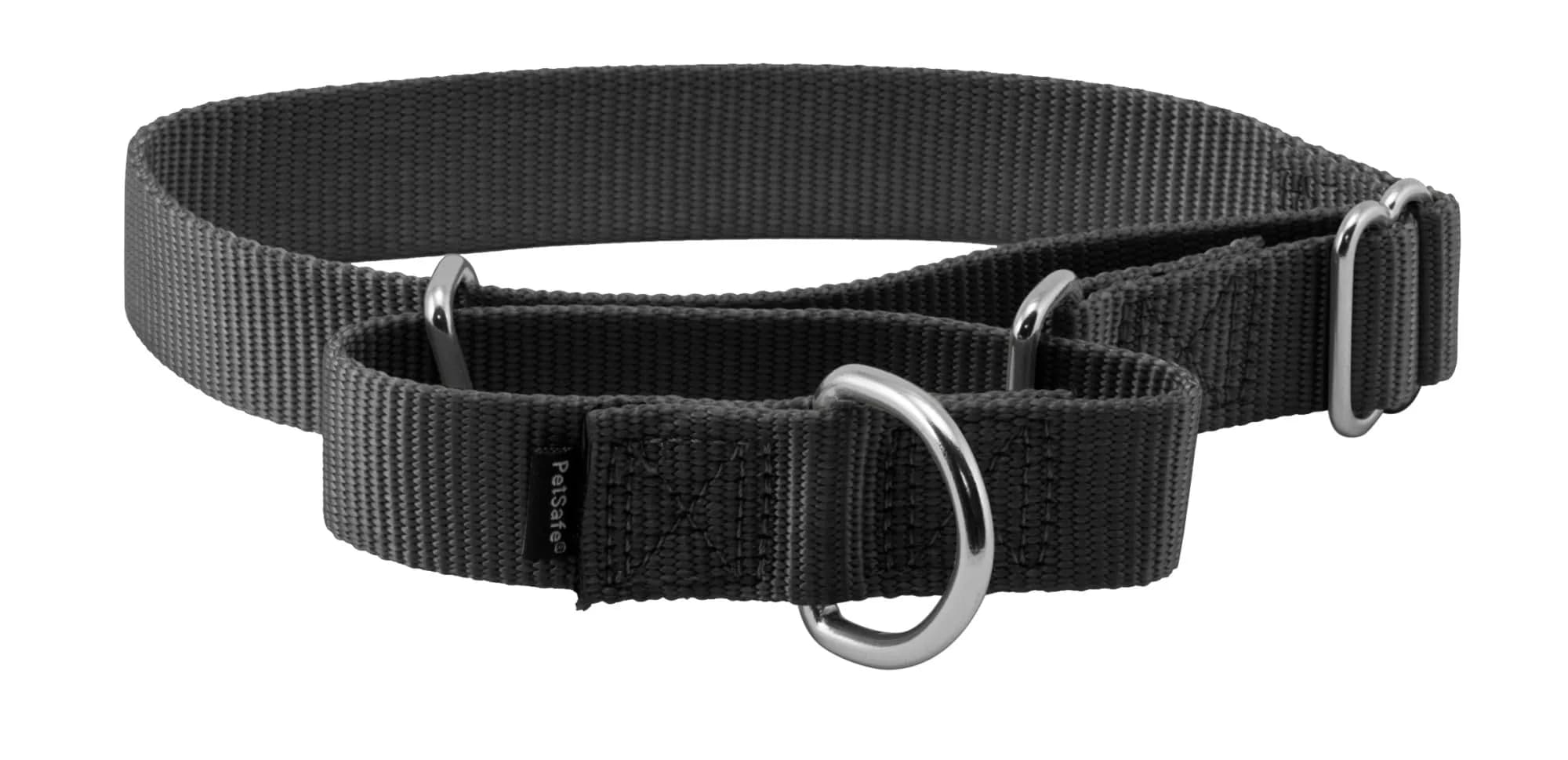 PetSafe Martingale Dog Collar, 1 in, Medium | Safe, Durable Nylon, US-Recommended Fit