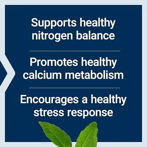 Life Extension L-Lysine 620 mg Vegetarian Capsules | Essential Amino Acid for Healthy Nitrogen Balance, Calcium Metabolism & Stress Response thumbnail 4