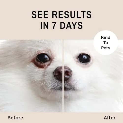 Eye Envy Tear Stain Remover Powder for Dogs and Cats 40g (1.4 oz) | Natural, Safe Formula for Stain-Free Eyes thumbnail 3