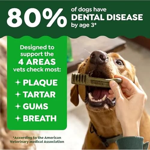 Greenies Petite Natural Dental Dog Treats, Original Flavor, 30 Count | Supports Oral Hygiene & Fresh Breath thumbnail 4