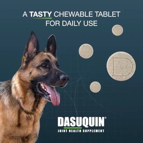 Nutramax Dasuquin Large Dog Joint Supplement Chewable Tablets 150ct (680g) | Vet Recommended for Joint Health thumbnail 4