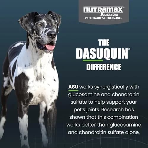 Nutramax Dasuquin MSM Joint Supplement for Large Dogs, 150 Chewable Tablets | Vet Recommended Canine Mobility Support thumbnail 6