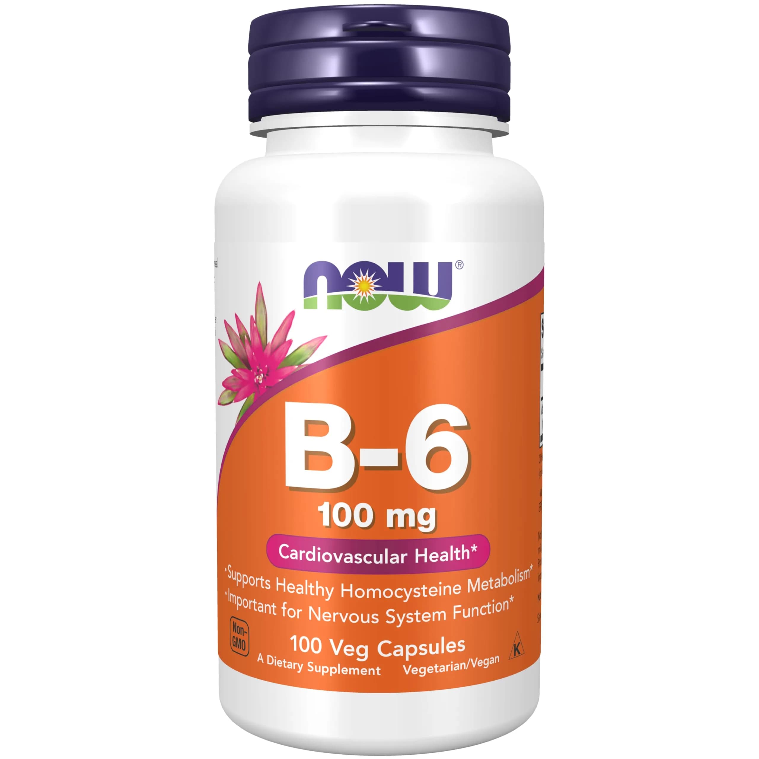 Now Foods B-6 100mg 100 Capsules | Supports Nervous System & Metabolism - main product image