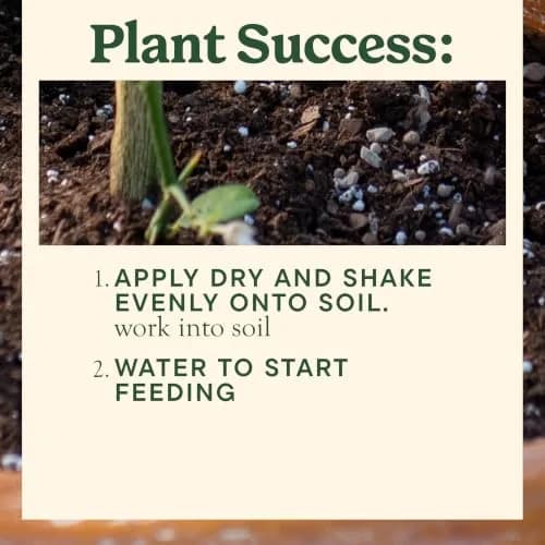 Miracle-Gro Shake 'N Feed Citrus, Avocado, Mango Plant Food | Fertilizer for In-Ground & Container Plants, 4.5 lbs thumbnail 5
