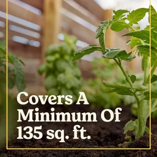 Miracle-Gro Shake 'N Feed Citrus, Avocado, Mango Plant Food | Fertilizer for In-Ground & Container Plants, 4.5 lbs thumbnail 3