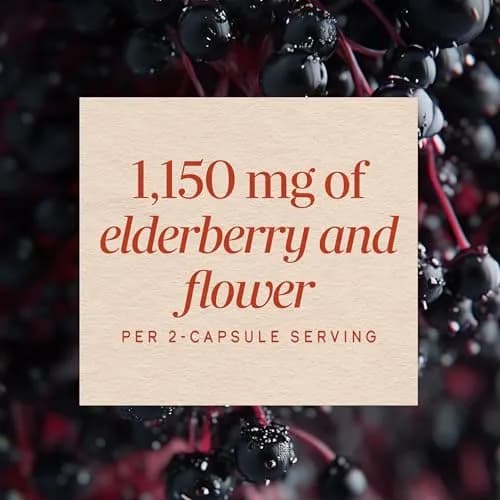 Nature's Way Black Elderberry Capsules 100 Count | Traditional Immune Support with European Elderberry & Flower thumbnail 4