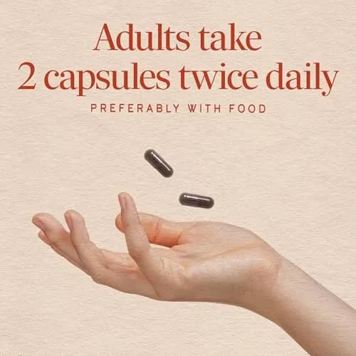 Nature's Way Black Elderberry Capsules 100 Count | Traditional Immune Support with European Elderberry & Flower thumbnail 5