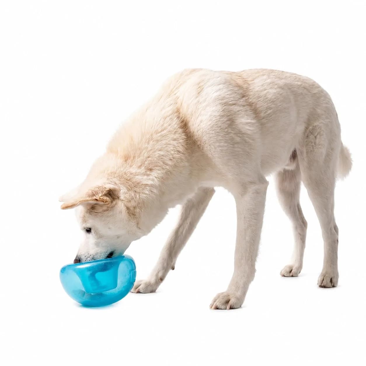 Outward Hound Snoop Interactive Treat Dispenser Dog Toy, Blue, 5" | Mental Stimulation & Slow Feeding - main product image