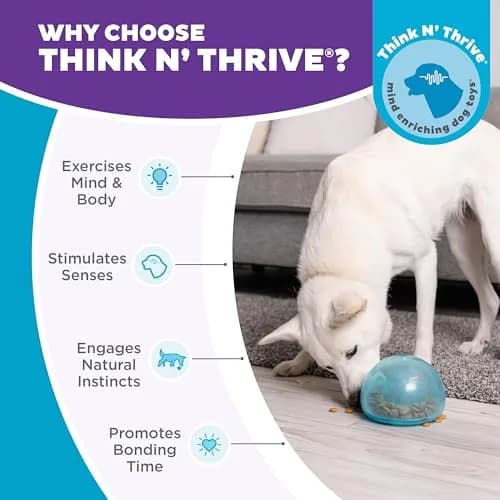 Outward Hound Snoop Interactive Treat Dispenser Dog Toy, Blue, 5" | Mental Stimulation & Slow Feeding thumbnail 8
