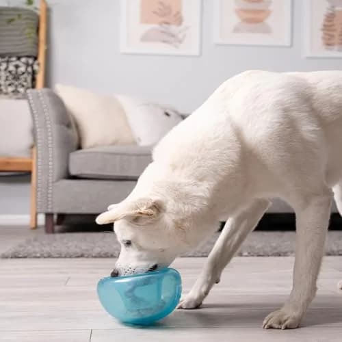 Outward Hound Snoop Interactive Treat Dispenser Dog Toy, Blue, 5" | Mental Stimulation & Slow Feeding thumbnail 9