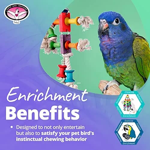 Super Bird Creations Dancing Spools Bird Toy with Cotton Rope for Medium Birds | 33cm (13" L x 8" H x 2" W) thumbnail 5
