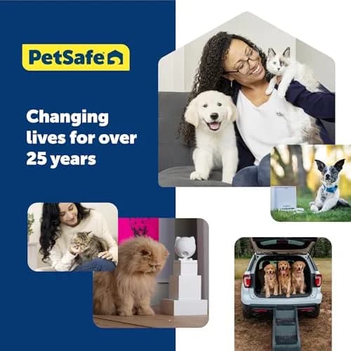 PetSafe Martingale Dog Collar Royal Blue Small 1.9 cm (3/4 in) | Safe Escape-Proof Training Collar thumbnail 3