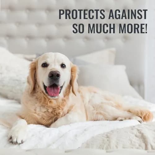 DMI Waterproof Mattress Cover Full | Zippered Fit, Durable & Quiet thumbnail 8