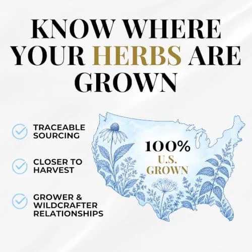 Eclectic Herb Raw Freeze-Dried Non-GMO Nettle Leaf | Supports Sinuses & Respiratory Wellness (50 Veg Caps) thumbnail 3