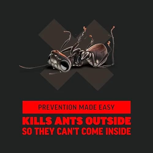 Amdro Ant Killer for Outdoor Home Perimeter Granules 24 Oz (680g) | Kills 25 Ant Species for 3 Months thumbnail 5