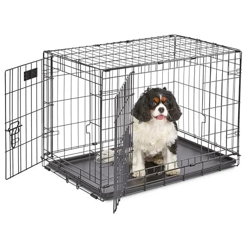 MidWest 30-Inch Double Door iCrate for Medium Breeds 21-40 lbs | Secure, Foldable & Durable thumbnail 1