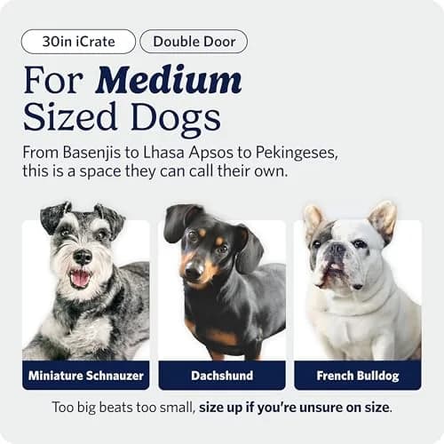 MidWest 30-Inch Double Door iCrate for Medium Breeds 21-40 lbs | Secure, Foldable & Durable thumbnail 2